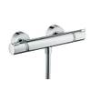 Hansgrohe 13116000