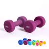 Hansson Sports Aerobic Hantel