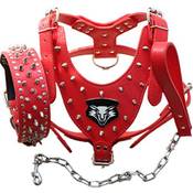 Haoyueer Hundegeschirr-Leder