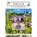 Happyseed Phacelia-Samen Bienenfreund