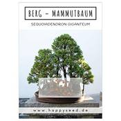 HappySeed Berg-Mammutbaum