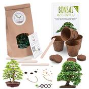 Happyseed Grow2go