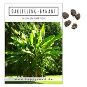 Happyseed Darjeeling Bananen Samen