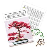 Bonsai-Samen Test & Vergleich  Top 14 im Juni 2026