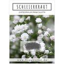 Happyseed Schleierkraut Samen