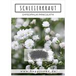 Bodendecker