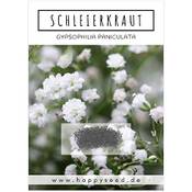 Happyseed Schleierkraut Samen