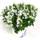 Harro's Pflanzenwelt Dalmatiner Glockenblume