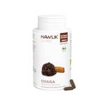 Hawlik Chaga