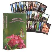 Heart & Soul Lenormand Bildkarten Vergleich