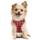 Heele Hundegeschirr