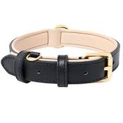 Heele Halsband für Welpen Vergleich