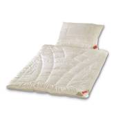 Hefel KlimaControl Comfort 5213GD Vergleich