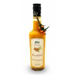 Heiko Blume Bio Sanddornsaft