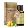 Heldengrün BIO Ylang Ylang Öl