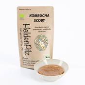 Heldenpilz Kombucha Teepilz