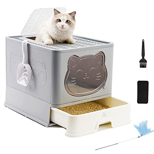Katzentoilette Test & Vergleich Top 10