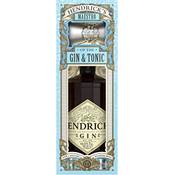 Hendrick's Gin Maestro