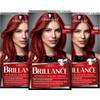 Schwarzkopf Brillance BC842