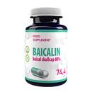 Hepatica Baikal-Helmkraut