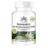 Herba direct Resveratrol 500 mg