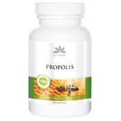 Herbadirekt Propolis-Kapsel