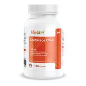 HerbBio Abdin 30102