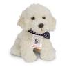 Hermann Teddy Hund Labradoodle