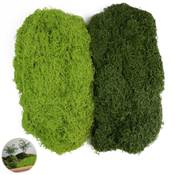 Hexizexi Künstliches Moos Vergleich