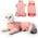 Heywean Katzenbody