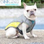 Hifrenchies Kühlweste Hund