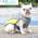 Hifrenchies Kühlweste Hund