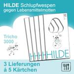 Hilde amz1105