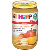 Hipp Bio Feiner Obst-Brei mit Vollkorn Vergleich
