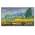 Hisense 55S7NQ