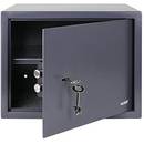 HMF 49203-11 