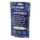 Hobby 21100 Artemix
