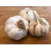 Hoffmeyer Pflanzknoblauch Messidrome