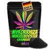 Homegrow24 Mykorrhiza Wurzelbooster