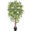 Homescapes Kunstbaum Ficus benjamina