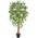 Homescapes Kunstbaum Ficus benjamina