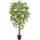 Homescapes Kunstbaum Ficus benjamina