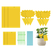 Homewit Gelbe Sticker Fruchtfliegenfalle Vergleich
