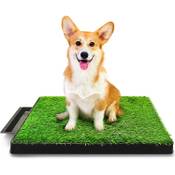 Hompet Hundetoilette Vergleich