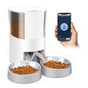 Honeyguaridan  S45D Vergleich