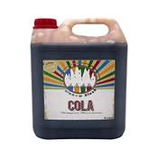Hopser Food Fun Sirup Geschmack Cola Vergleich