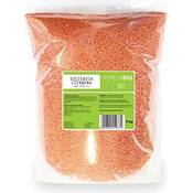 Horeca Products rote Linsen Vergleich