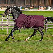 Horseware Aapa92-Gfbm-72 Vergleich