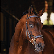 Horseware Rambo Micklem Multibridle