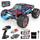 Hosim brushless racing RC